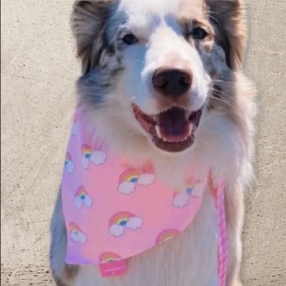 Stoney Clover Lane Limited Edition Reversible Pet Bandana